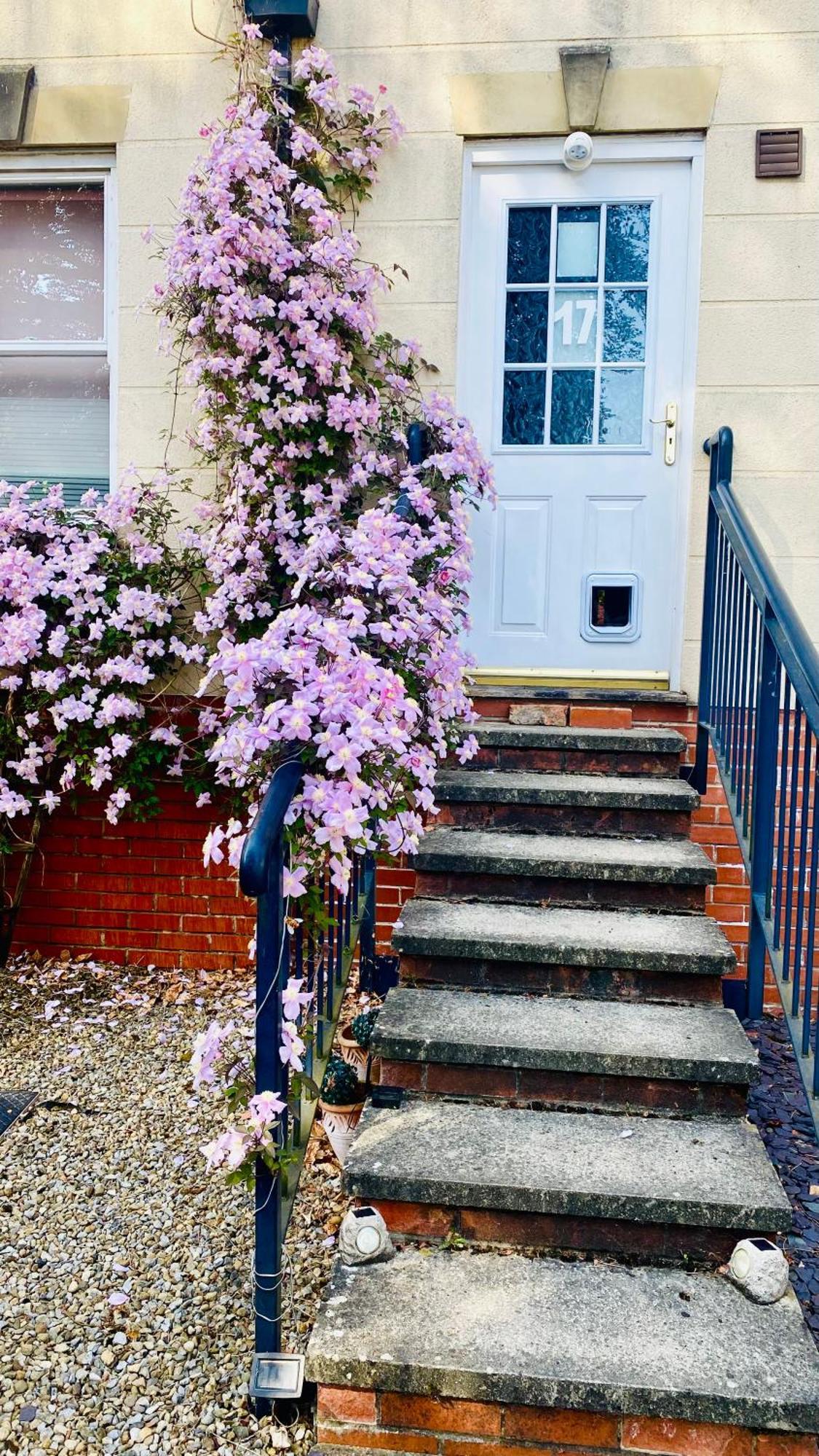 Modern Ground Floor Apartment With Free Parking Very Near Centre Ripon Extérieur photo